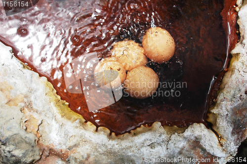 Image of Eggs in hot spring