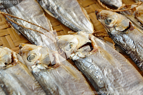 Image of Dried salt Fish