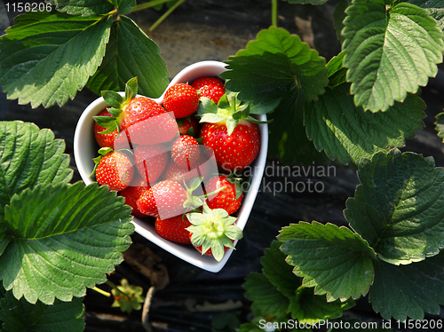 Image of strawberry in heart shape bowl