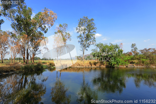 Image of wetland