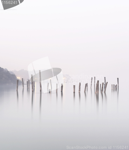 Image of wood in water