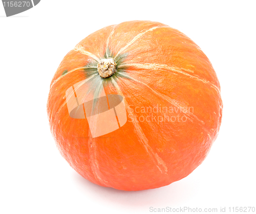 Image of pumpkin