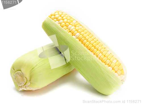 Image of corn