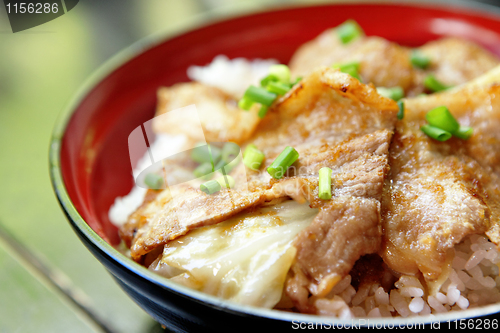 Image of pork with rice