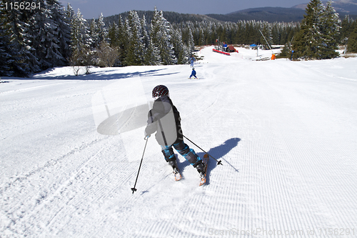 Image of young boy skiing