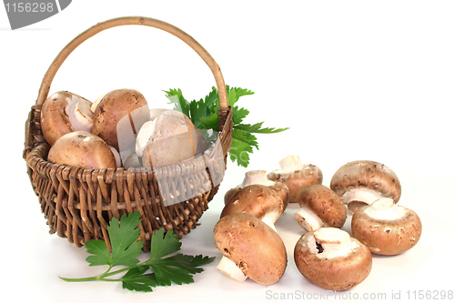 Image of Mushrooms