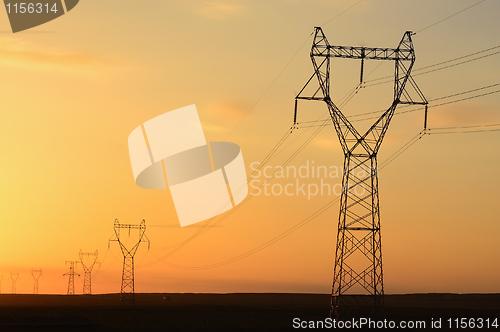 Image of Telegraph pole at sunset