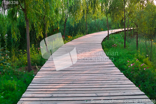 Image of Wooden road