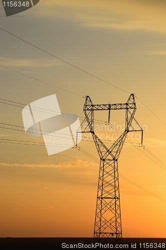 Image of Telegraph pole at sunset