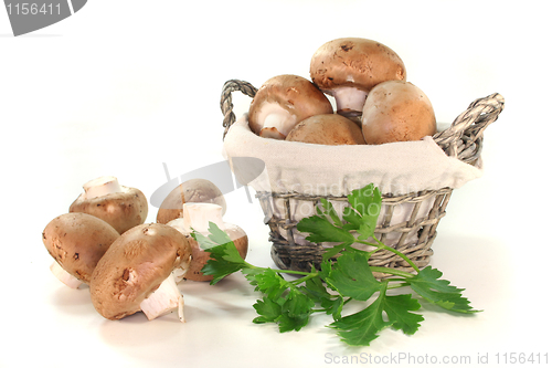 Image of Mushrooms with parsley