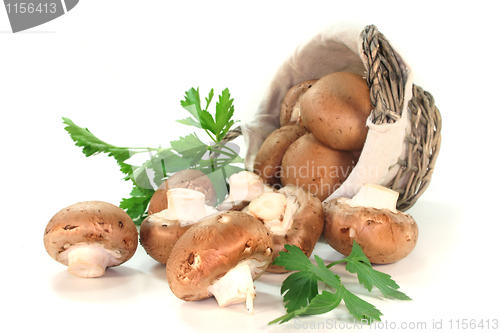 Image of Mushrooms with parsley