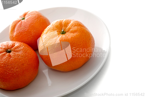 Image of Fresh juicy tangerines