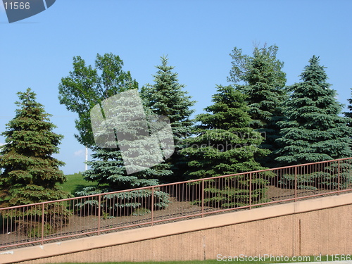 Image of Trees along the way