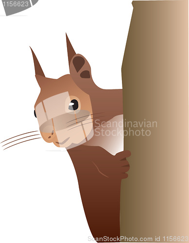 Image of squirel