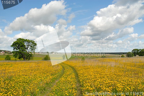 Image of landscape