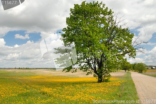 Image of landscape