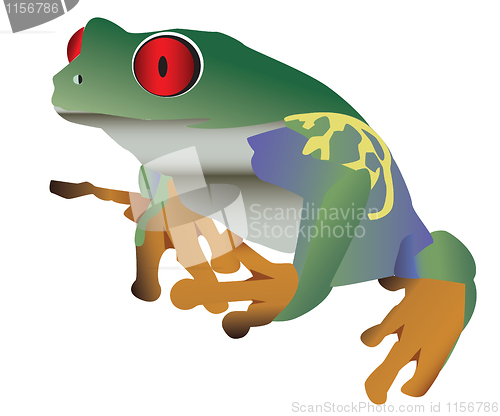 Image of grenouille