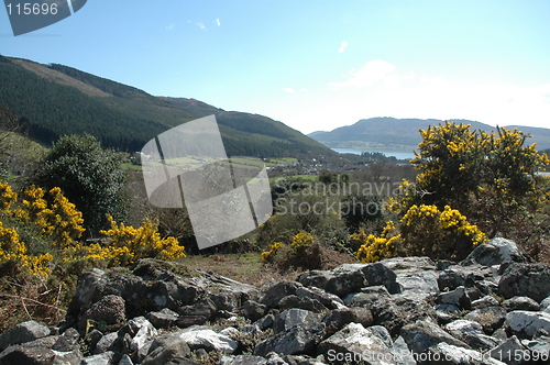 Image of Old impoundment ditch