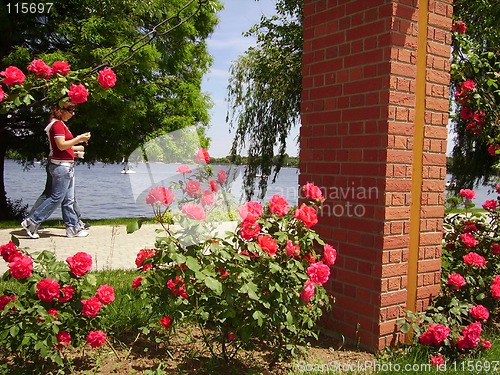 Image of Walk in the park