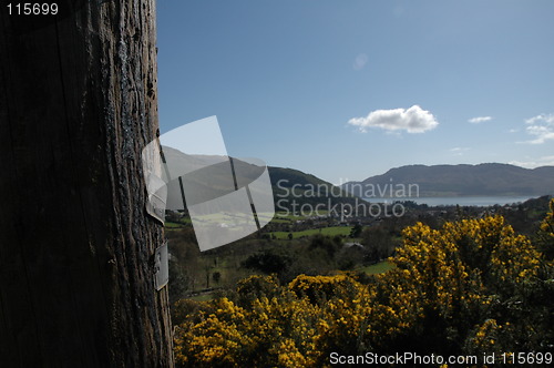 Image of Rostrevor pole