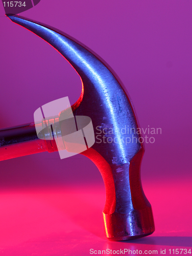 Image of hammerhead
