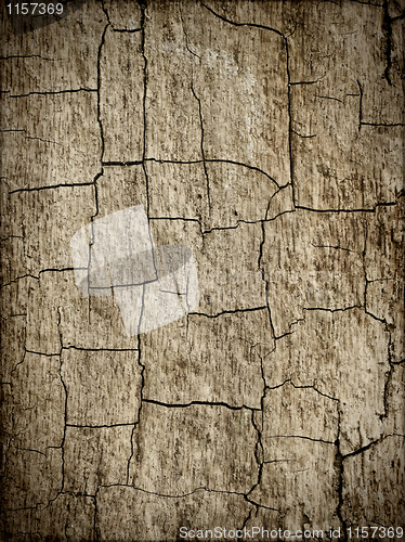 Image of old wood