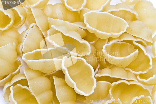 Image of Pasta 