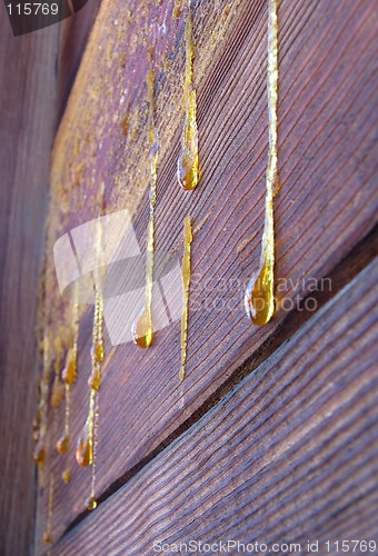 Image of Drops of resin on old wall