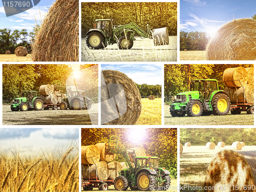 Image of agriculture background