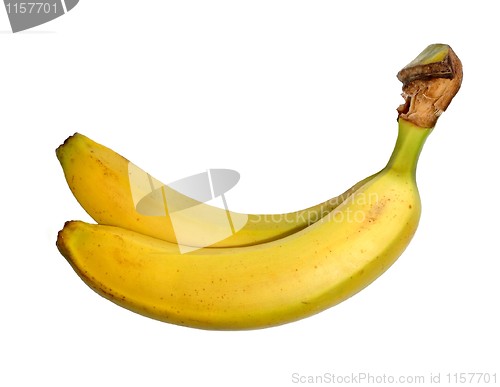 Image of Bananas