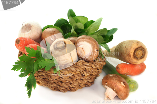 Image of Vegetable basket