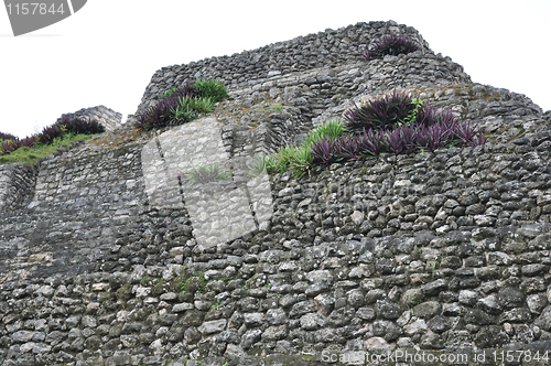 Image of Chacchoben Mayan Ruins