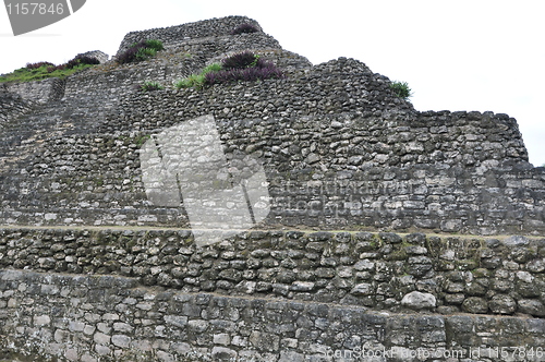 Image of Chacchoben Mayan Ruins