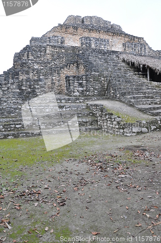 Image of Chacchoben Mayan Ruins