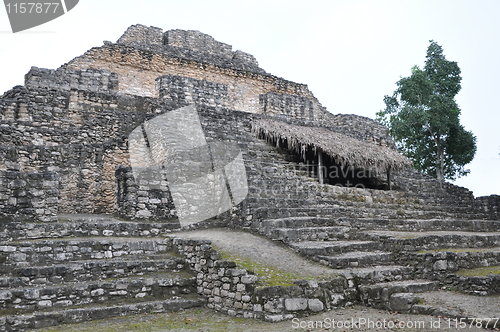 Image of Chacchoben Mayan Ruins