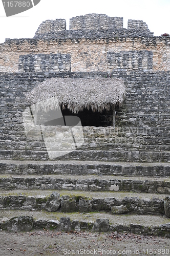 Image of Chacchoben Mayan Ruins