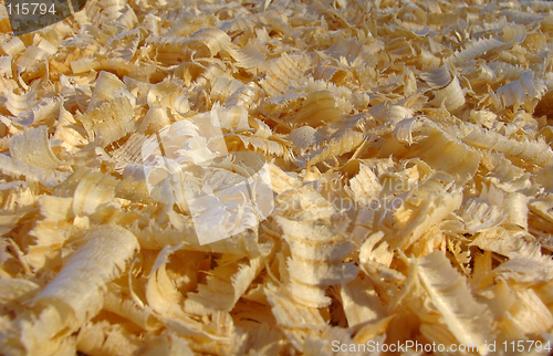 Image of Shavings