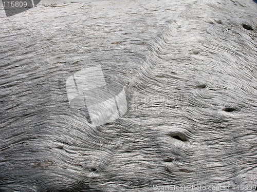 Image of Old Wood Texture
