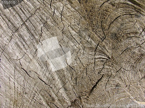 Image of Old Wood Texture