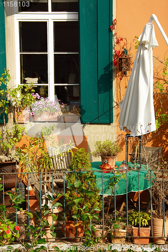 Image of Terrace or roof gardening