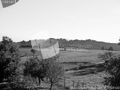 Image of Marcorengo hill