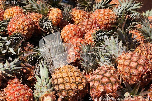 Image of Pineapples