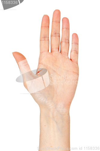 Image of woman's hand