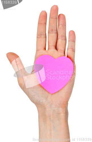 Image of woman's hand