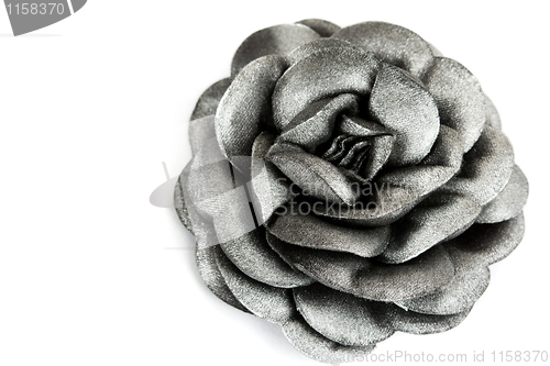 Image of gray rose