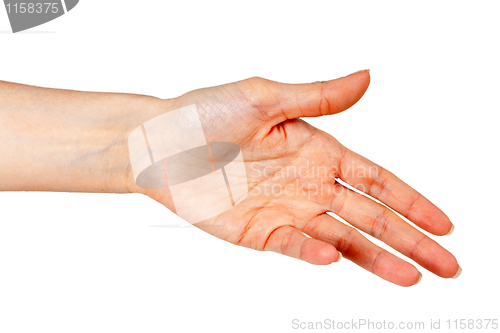 Image of woman's hand