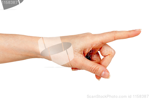 Image of woman's hand