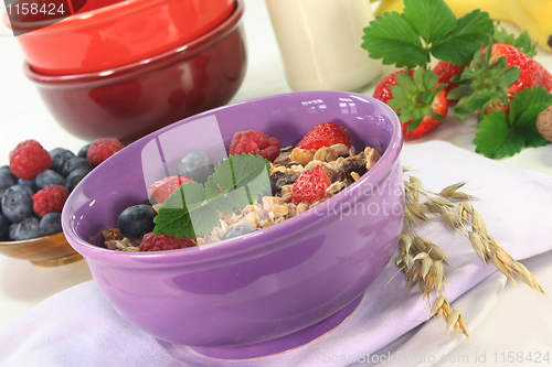 Image of Fruit Muesli