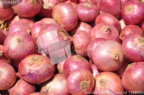 Image of Onion