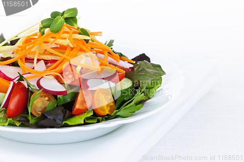 Image of Garden salad